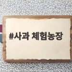 사과 체험농장