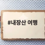 내장산 여행 단풍 명소 당일치기 코스 이렇게 짜보세요 내장산 여행