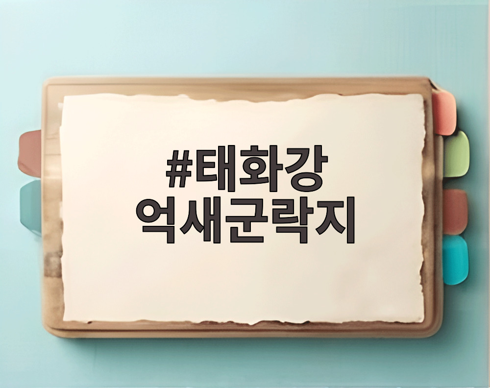 태화강 억새군락지