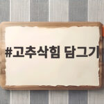 고추삭힘 담그기