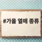 가을 열매 종류 이것만 알면 산책이 더 즐거워집니다 가을 열매 종류