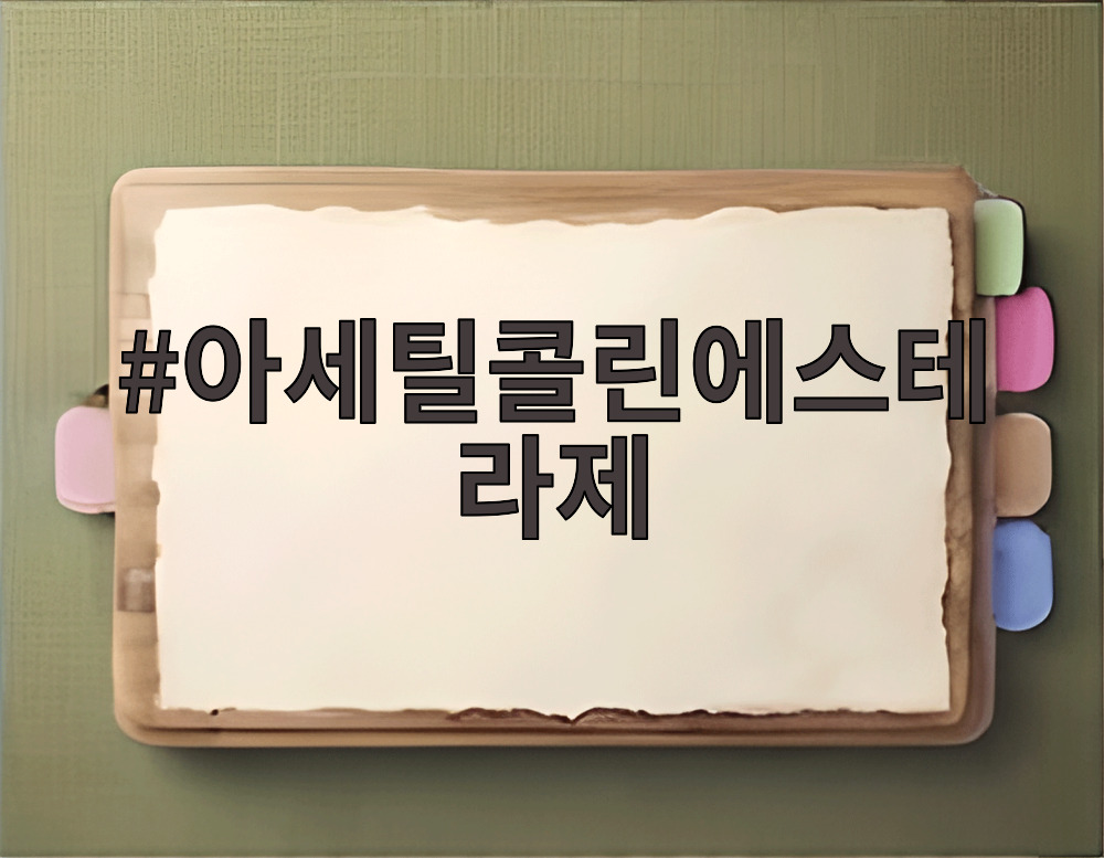 아세틸콜린에스테라제