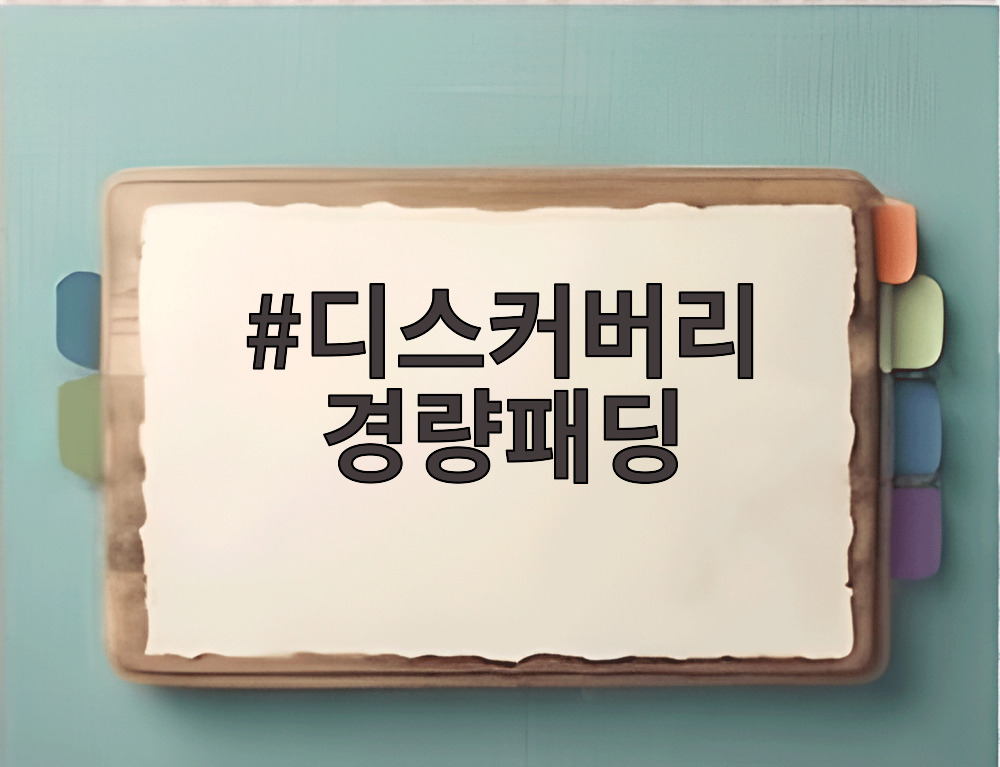 디스커버리 경량패딩