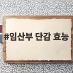 임산부 단감 효능