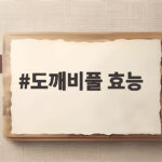 도깨비풀 효능