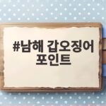 남해 갑오징어 포인트 어디로 가야 할까 워킹 낚시 준비부터 공략까지 남해 갑오징어 포인트
