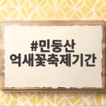 민둥산 억새꽃축제기간 10월 절정 놓치면 아쉬운 가을 산행 민둥산 억새꽃축제기간