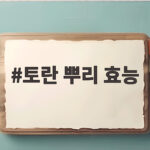 토란 뿌리 효능 제대로 알고 먹으면 몸이 가뿐하고 건강해져요 토란 뿌리 효능