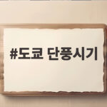 도쿄 단풍시기 2026 절정 언제일까 놓치지 않는 방법 도쿄 단풍시기