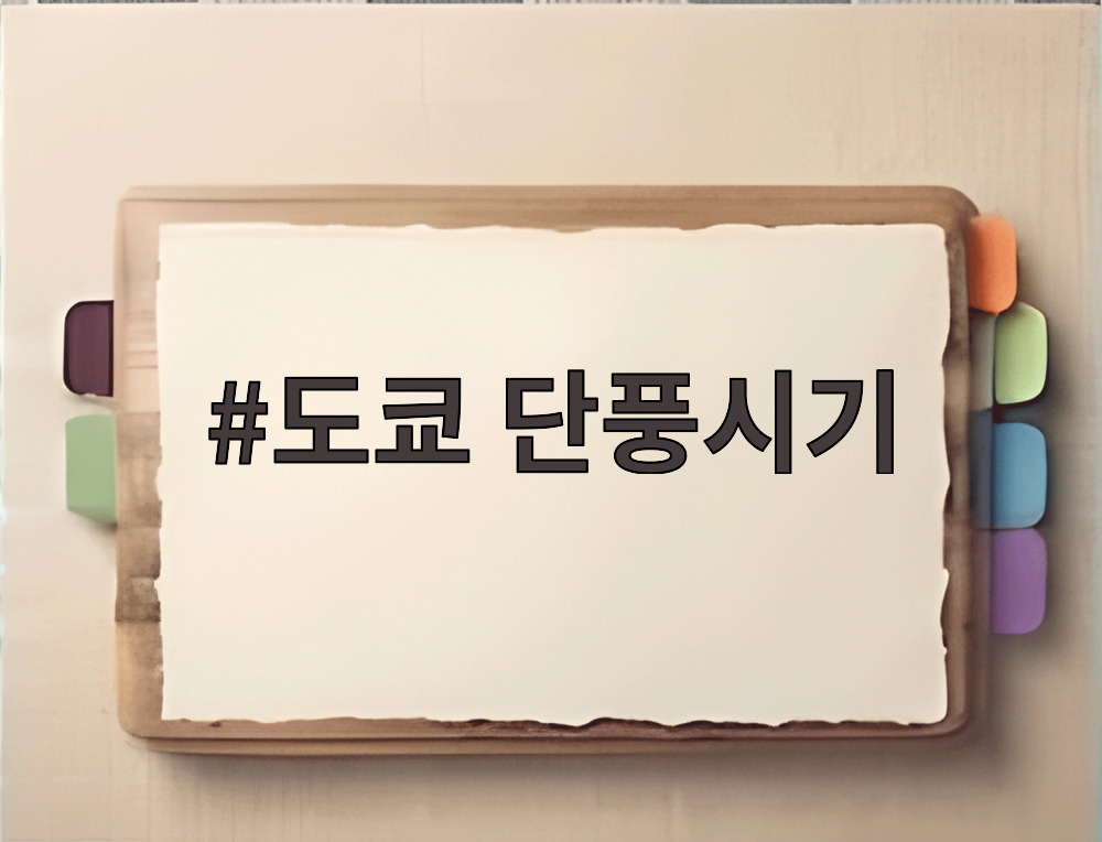 도쿄 단풍시기