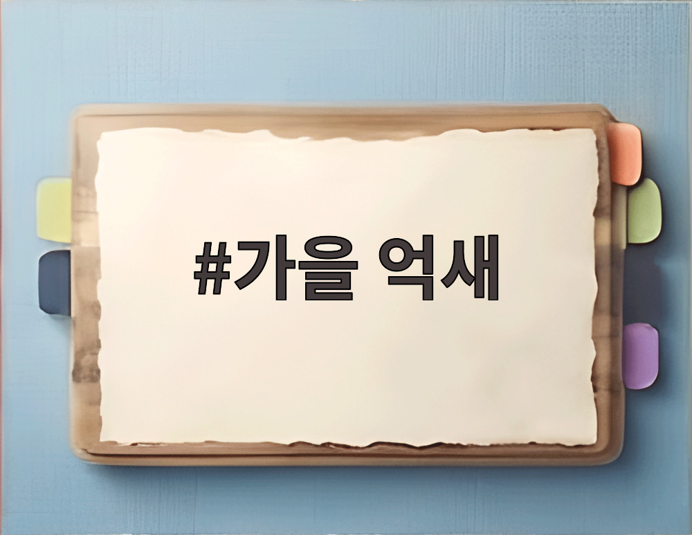 가을 억새