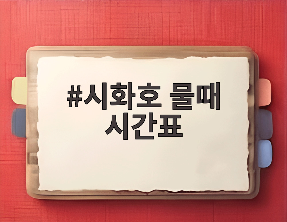 시화호 물때 시간표