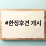 한정후견 개시