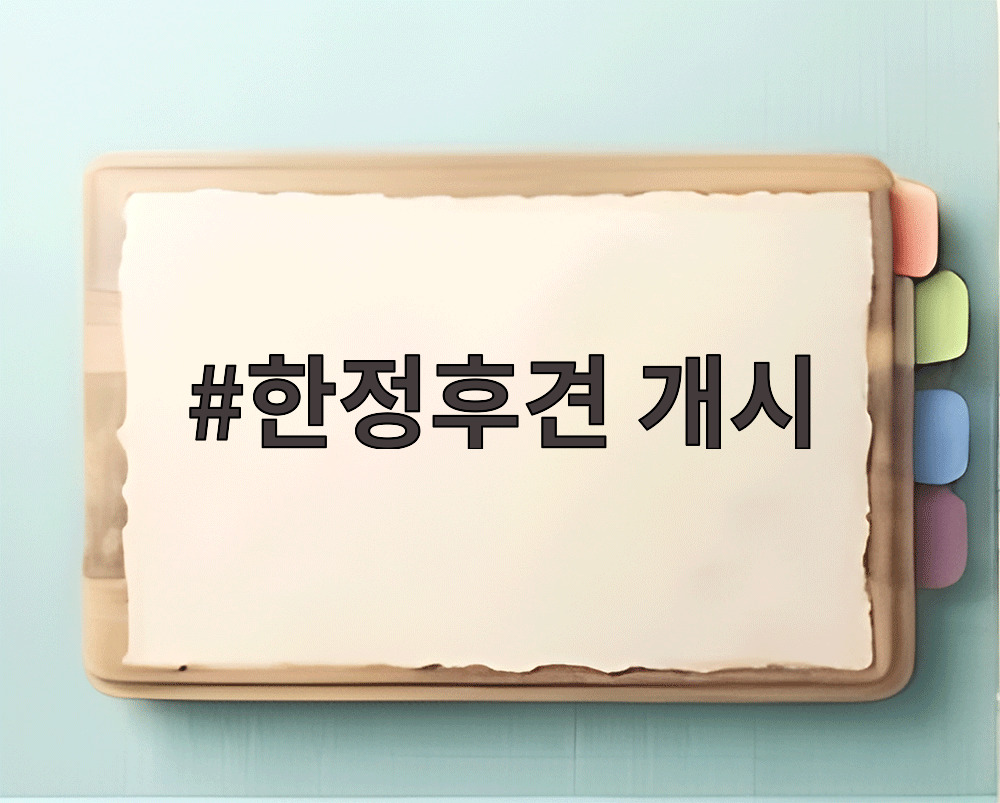 한정후견 개시