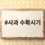 사과 수확시기 품종별로 알아보고 제철 사과 맛있게 고르는 방법 사과 수확시기