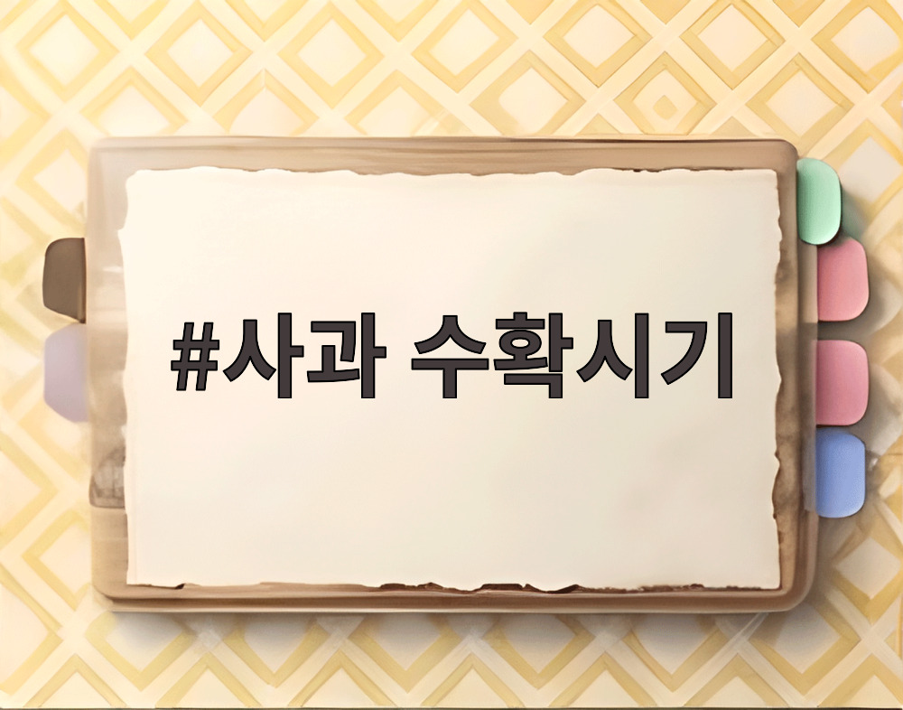 사과 수확시기