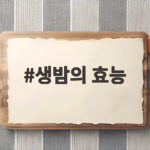 생밤의 효능 제대로 누리는 법 제철 햇밤 영양부터 보관까지 생밤의 효능