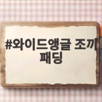 와이드앵글 조끼 패딩 하나로 가을 필드 체온 조절 끝 와이드앵글 조끼 패딩