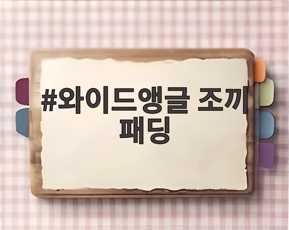 와이드앵글 조끼 패딩