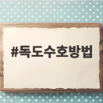 독도수호방법 10월 25일 독도의 날부터 시작하는 우리 땅 지키기 독도수호방법