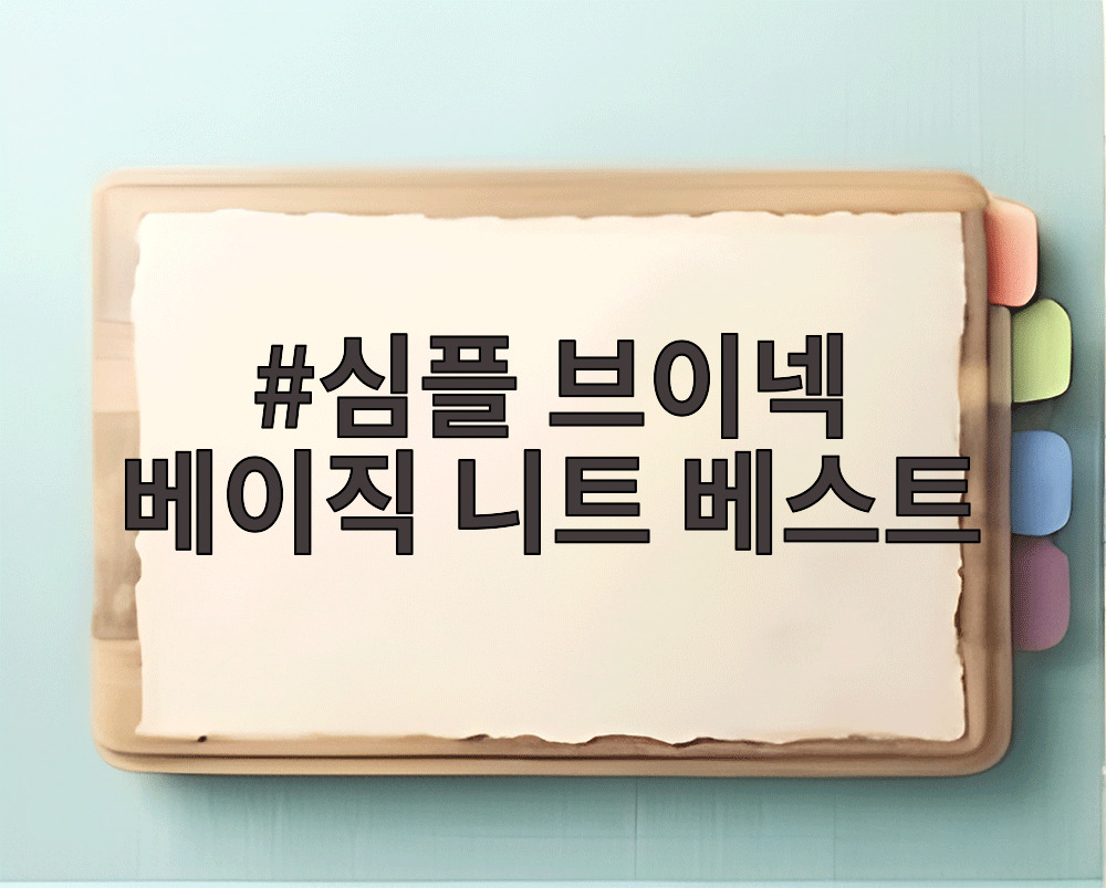 심플 브이넥 베이직 니트 베스트