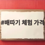 배따기 체험 가격 아이와 가을 나들이 전에 확인하세요 배따기 체험 가격