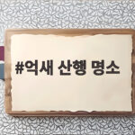 억새 산행 명소
