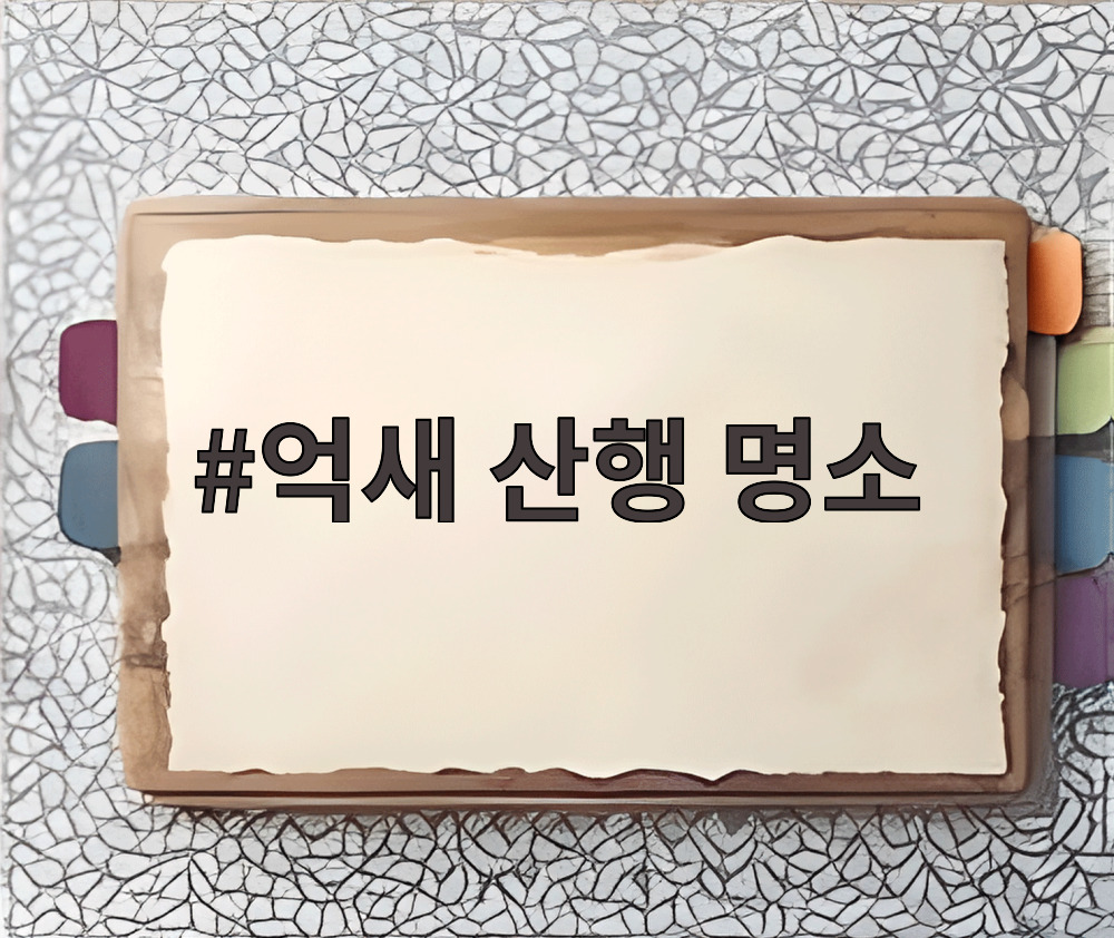 억새 산행 명소