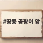 땅콩 곰팡이 암 위험 아직도 떼어내고 드시나요 땅콩 곰팡이 암