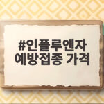 인플루엔자 예방접종 가격