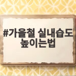 가을철 실내습도 높이는법 세 가지만 기억하면 아침이 촉촉해집니다 가을철 실내습도 높이는법