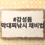 감성돔 막대찌낚시 채비법 가을 방파제에서 이렇게 하면 입질이 다릅니다 감성돔 막대찌낚시 채비법