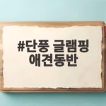 단풍 글램핑 애견동반 준비 이렇게 하면 가을 여행이 편해집니다 단풍 글램핑 애견동반