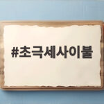 초극세사이불