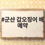 군산 갑오징어 배 예약 성공하려면 이것만 확인하세요 군산 갑오징어 배 예약