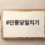 단풍당일치기 어디가 좋을까 올해 절정 시기와 준비물 정리 단풍당일치기