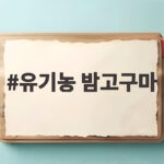 유기농 밤고구마