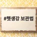 햇생강 보관법 이것만 알면 겨울 내내 싱싱하게 먹을 수 있어요 햇생강 보관법