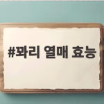 꽈리 열매 효능