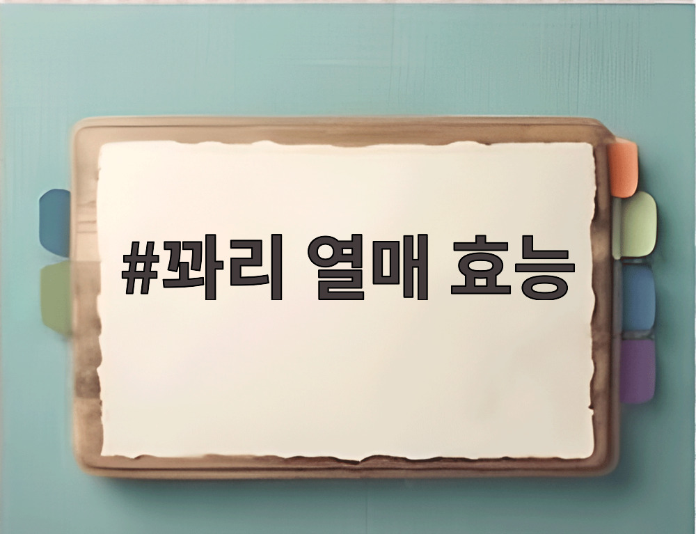 꽈리 열매 효능