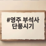 영주 부석사 단풍시기