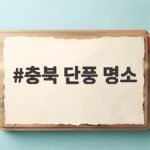 충북 단풍 명소 속리산부터 청풍호까지 지금 만나는 가을 절경 충북 단풍 명소