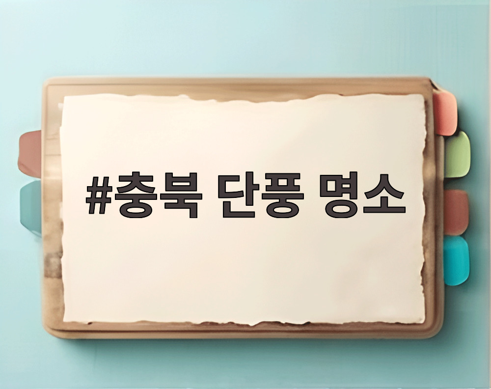 충북 단풍 명소