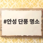 안성 단풍 명소