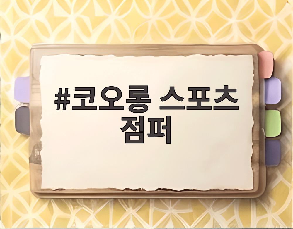 코오롱 스포츠 점퍼