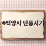 백양사 단풍시기 절정은 언제일까 11월 초중순이에요 백양사 단풍시기