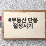 무등산 단풍 절정시기
