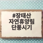 장태산 자연휴양림 단풍시기