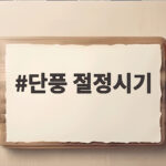 단풍 절정시기 헷갈릴 때 확인하는 전국 명산 일정표 단풍 절정시기