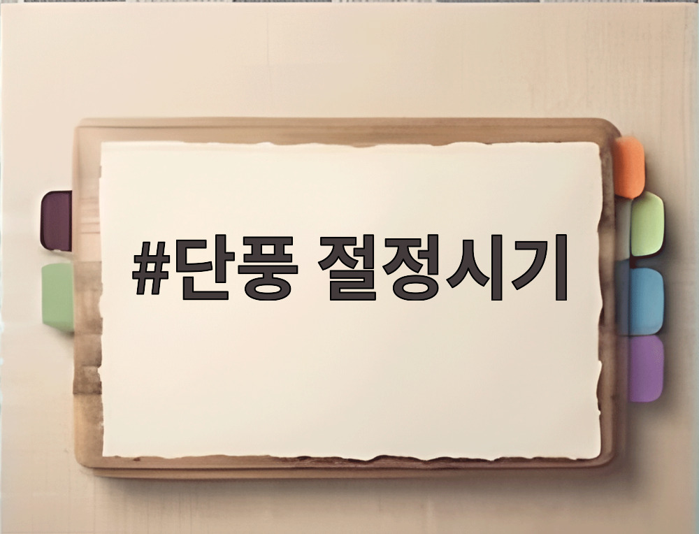 단풍 절정시기